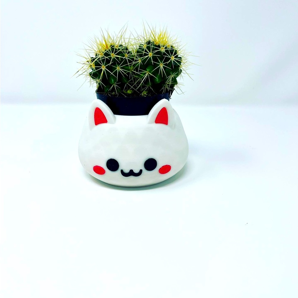 Kawaii 3D printed super Cute Kitty Planter